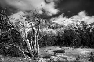 Tioga Pass and Mt. Dana-8944 Tioga Pass and Mt. Dana-8944